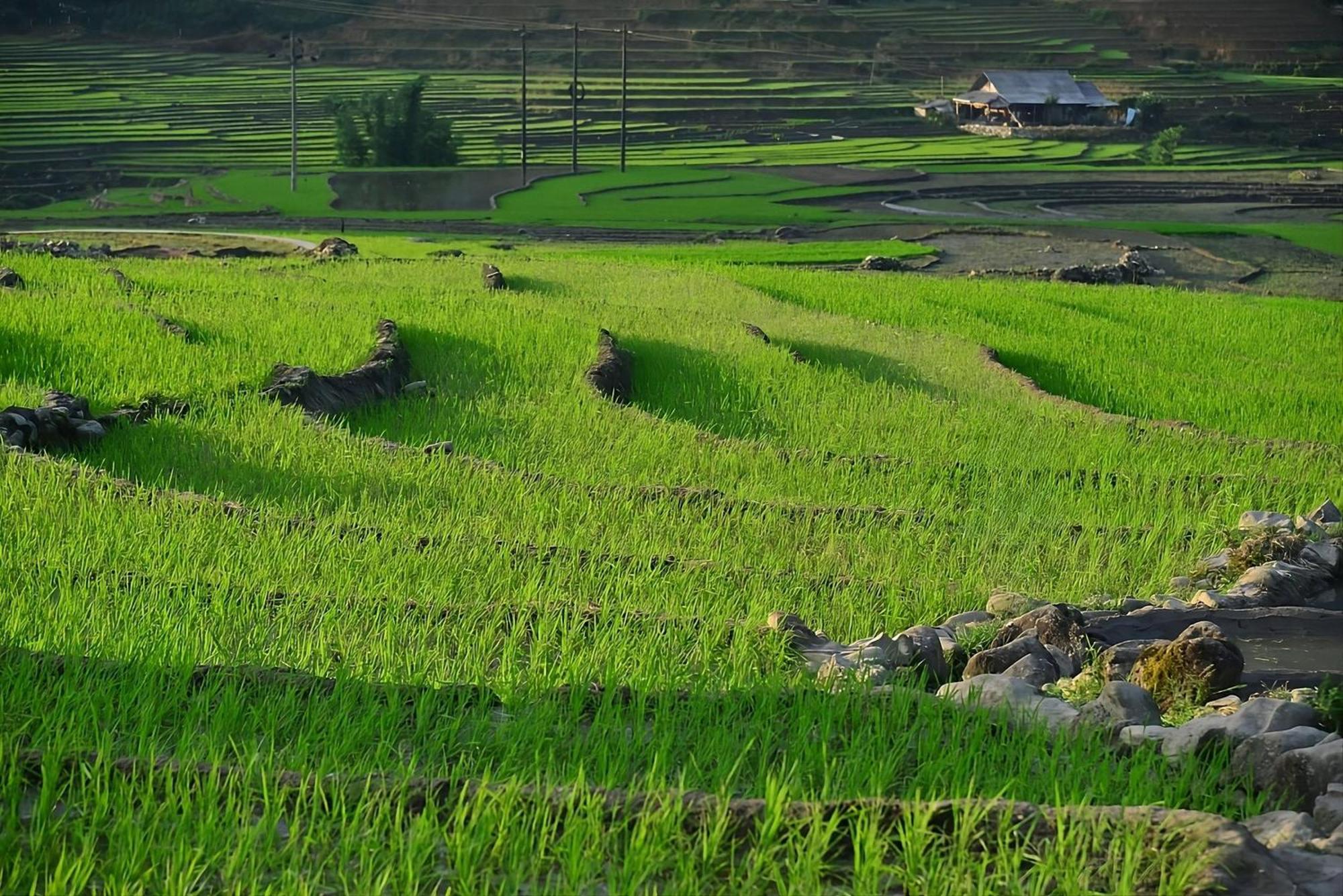 Sapa Mountain Resort Affiliated By Melia Exterior photo